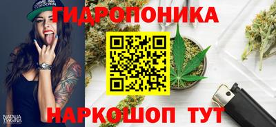 spice Владикавказ