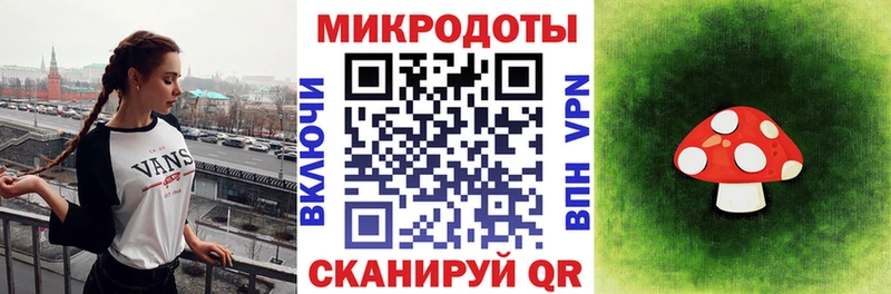 Галлюциногенные грибы Psilocybine cubensis  Курганинск 