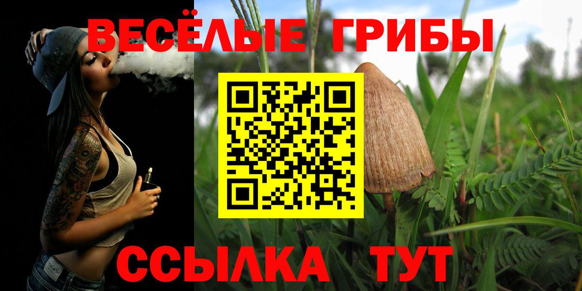 Галлюциногенные грибы Psilocybe Курганинск